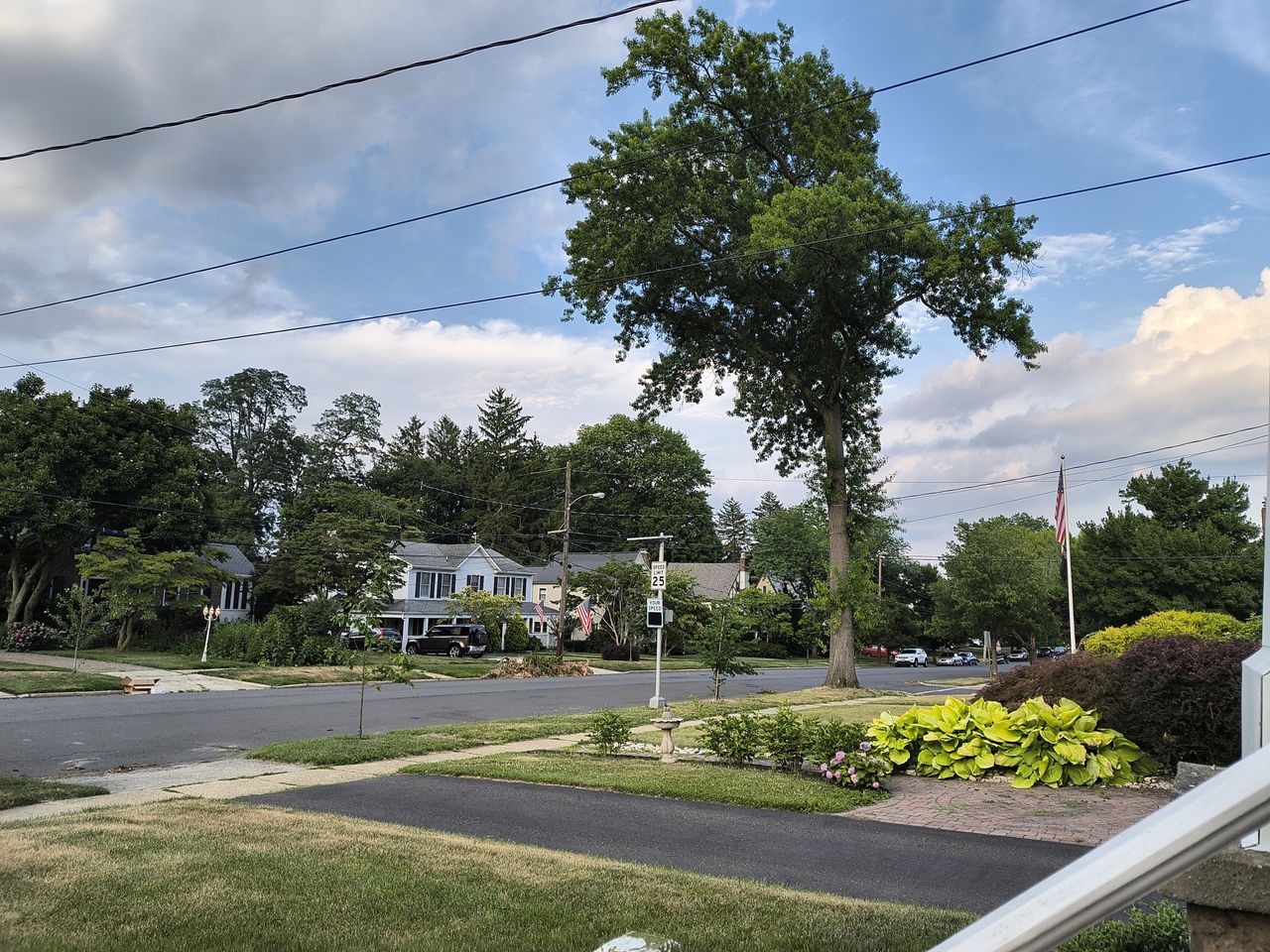 tree-lined street showing manicured grass areas and asphalt road surface