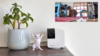 Petcube Cam 360 next a cat figurine and plant pot, with a screenshot of Megan's cat on the app next to a table, cat tunnel and rug