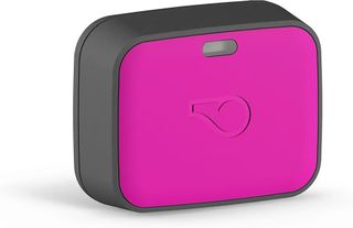A pink Whistle Go Explore GPS tracking device for dogs