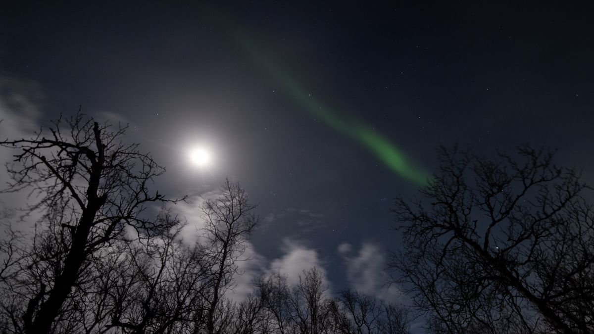 aurora hunting trip in Abisko National Park