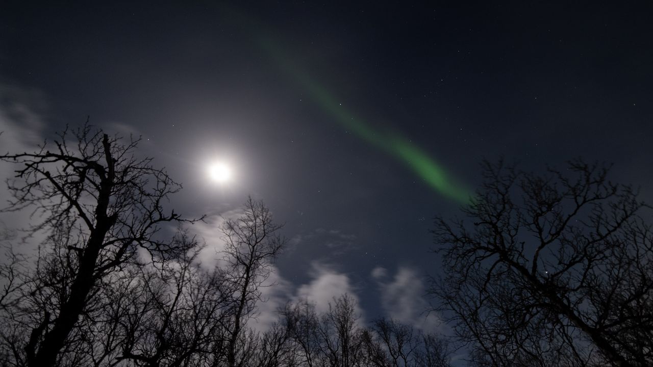aurora hunting trip in Abisko National Park