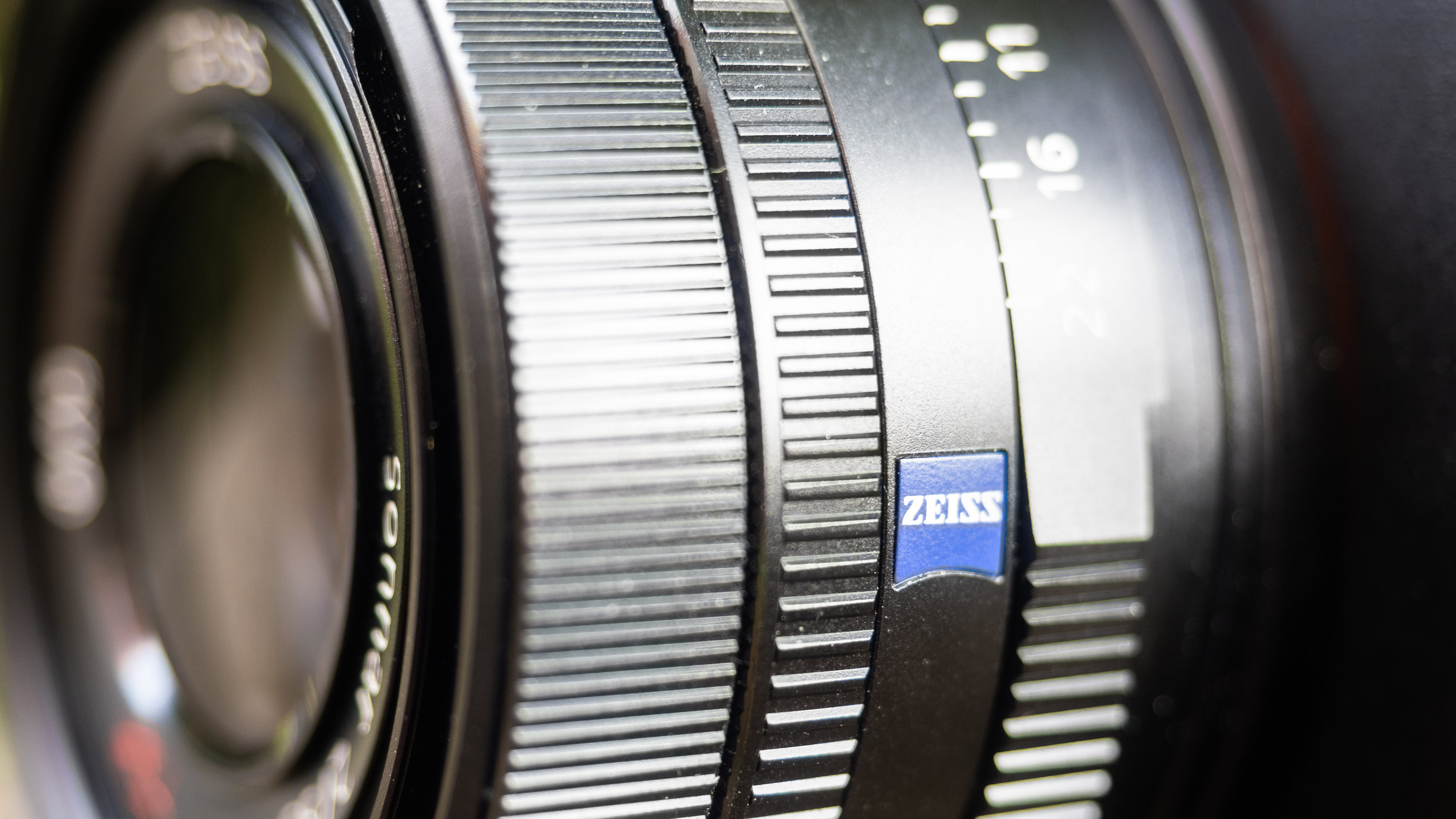 Sony RX1R III on a wooden surface in a woodland environment