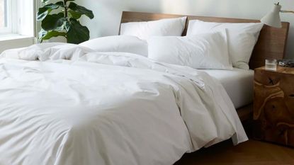 White bed with pillows and potted plant