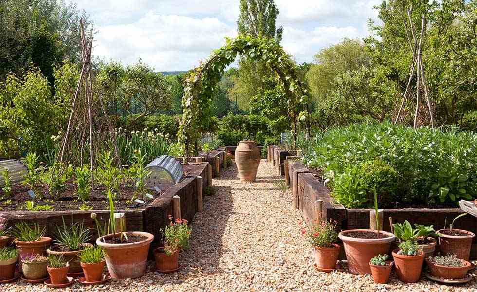 kitchen garden arbour