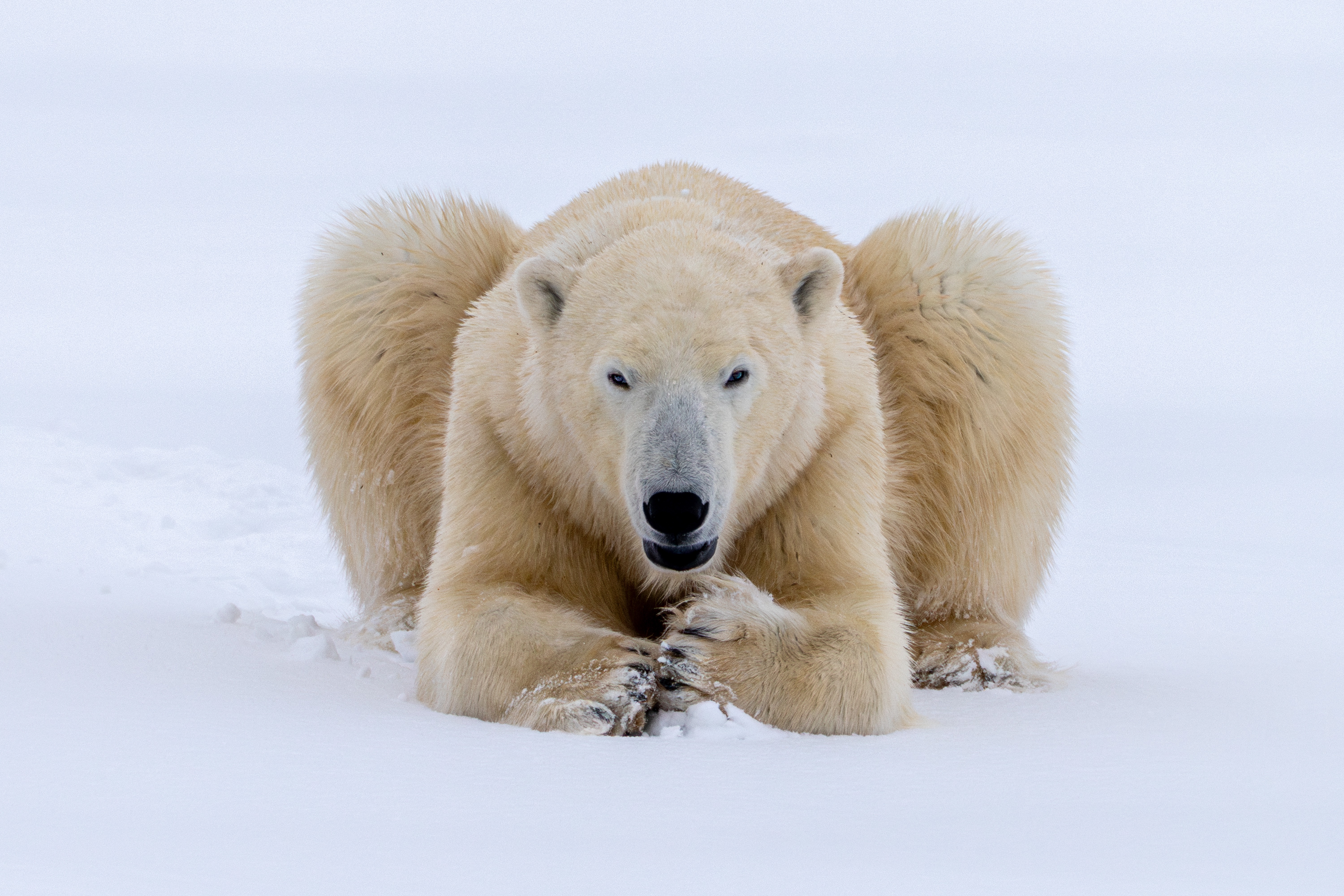 GuruShots - Nature March 2026