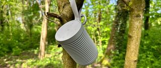 Beosound Explore speaker on a branch in a forest