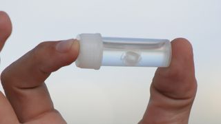 A tiny jellyfish in a test tube
