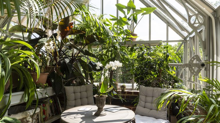 Greenhouse Ideas 12 Ways To Get The Most From Your Garden Glasshouse All Year Long Gardeningetc