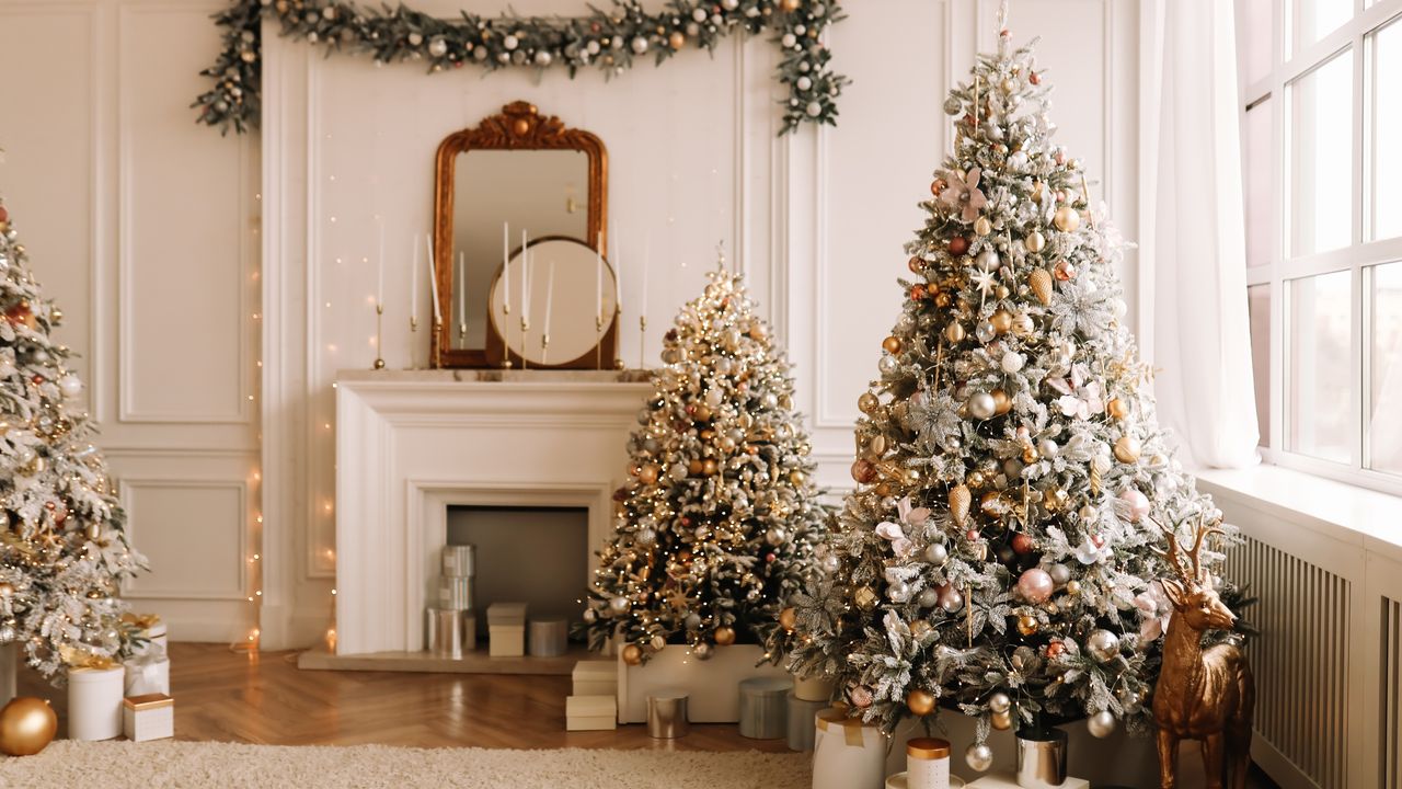 Christmas trees in a living room by a fireplace