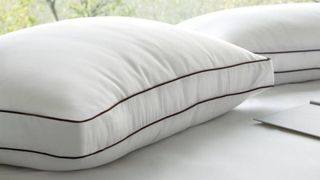 Two Saatva latex pillows on a white table