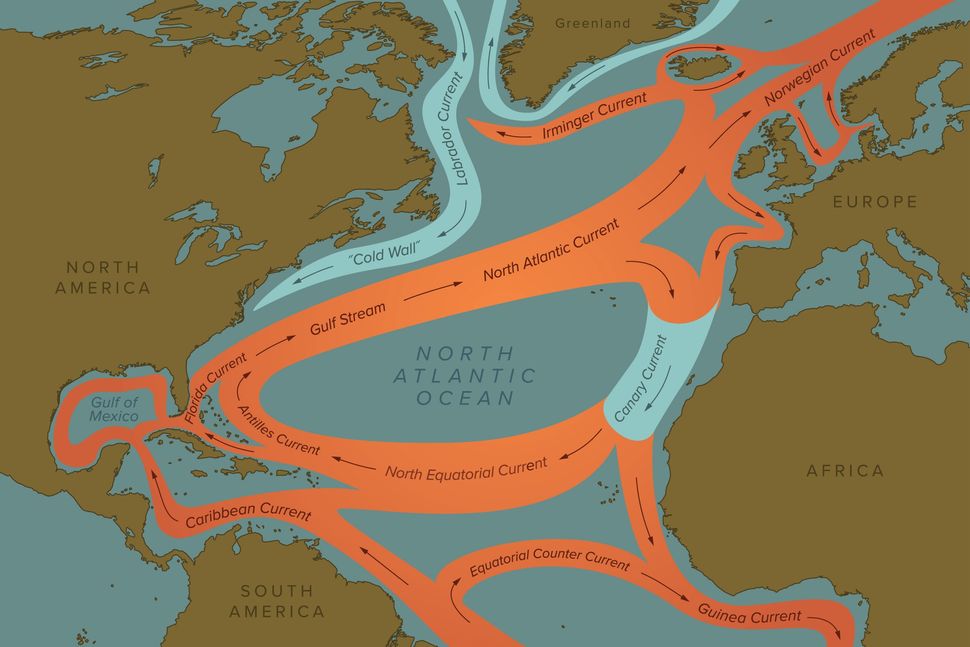 Collapse of key Atlantic currents may be held off by newly-discovered ...