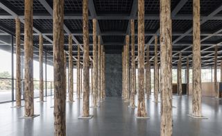Chipperfield has transformed the upper glass hall into a forest of 144 tree trunks.