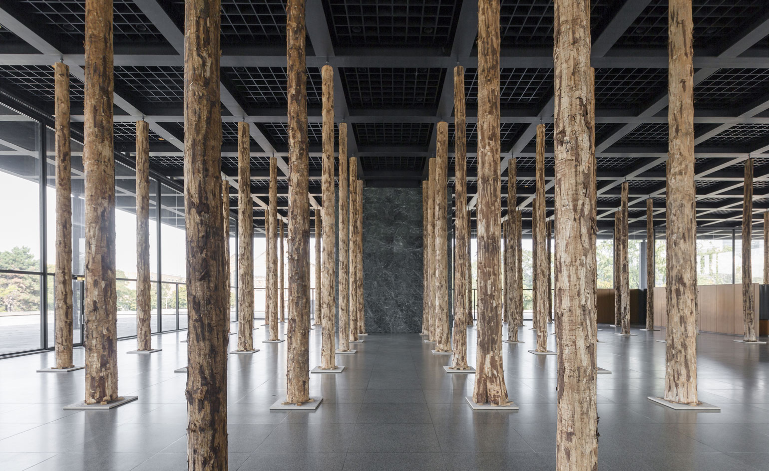 Chipperfield has transformed the upper glass hall into a forest of 144 tree trunks.