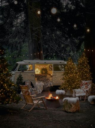 group of outdoor christmas trees with seating