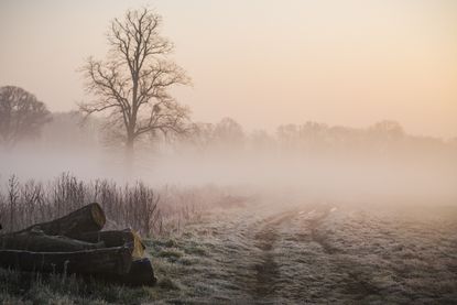 Jack Frost came to visit this field in Norfolk.