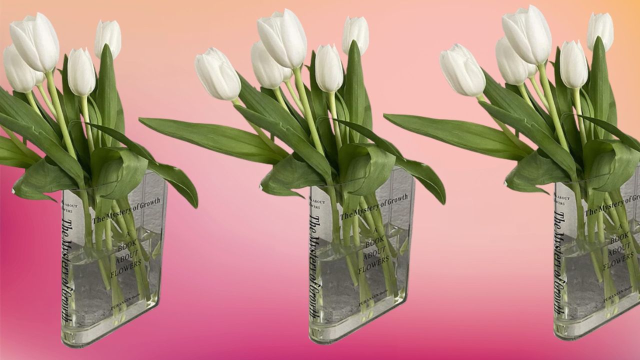 Viral &#039;book&#039; vase