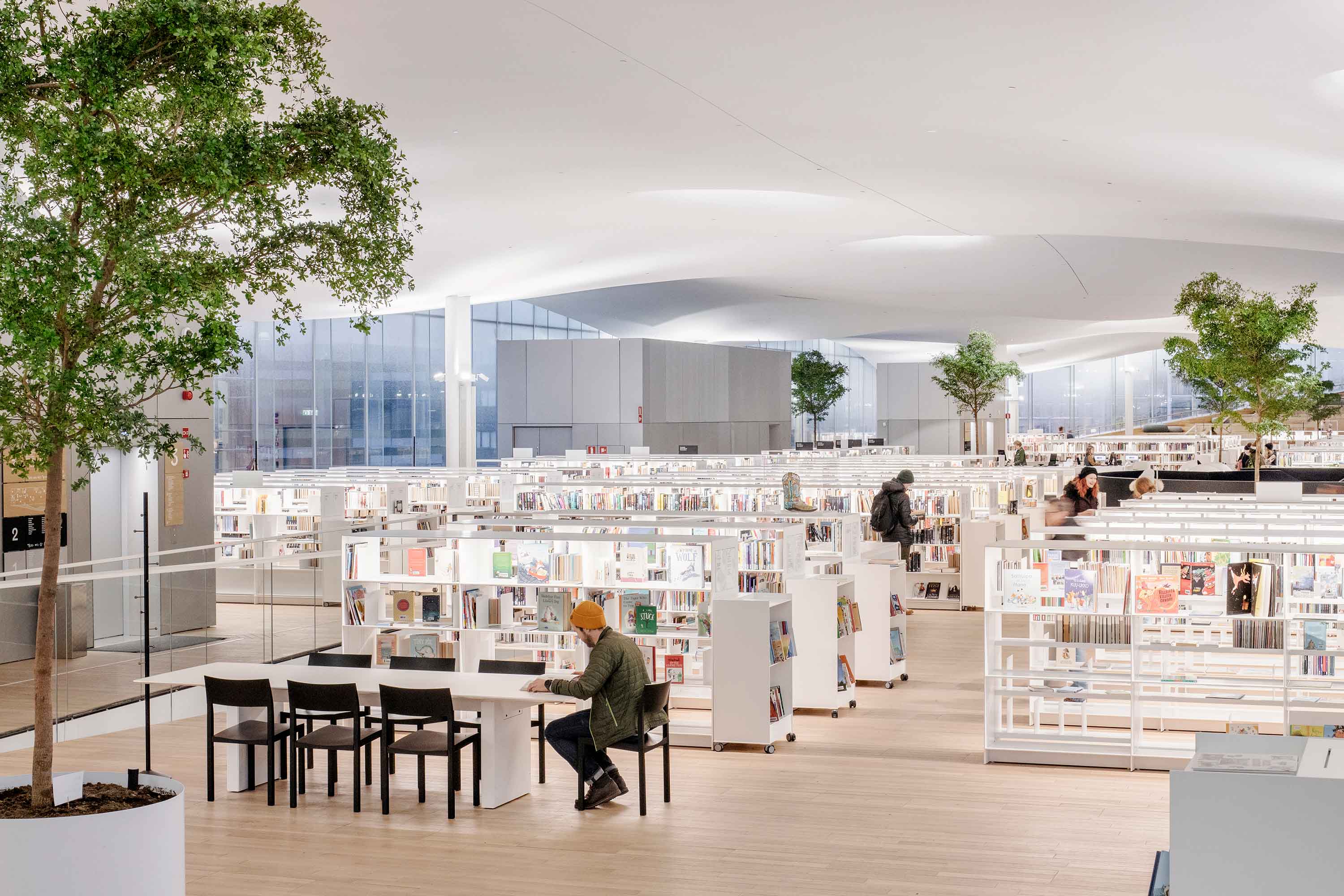 Library in Helsinki