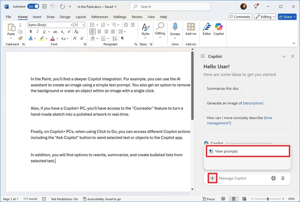 Word view Copilot prompts