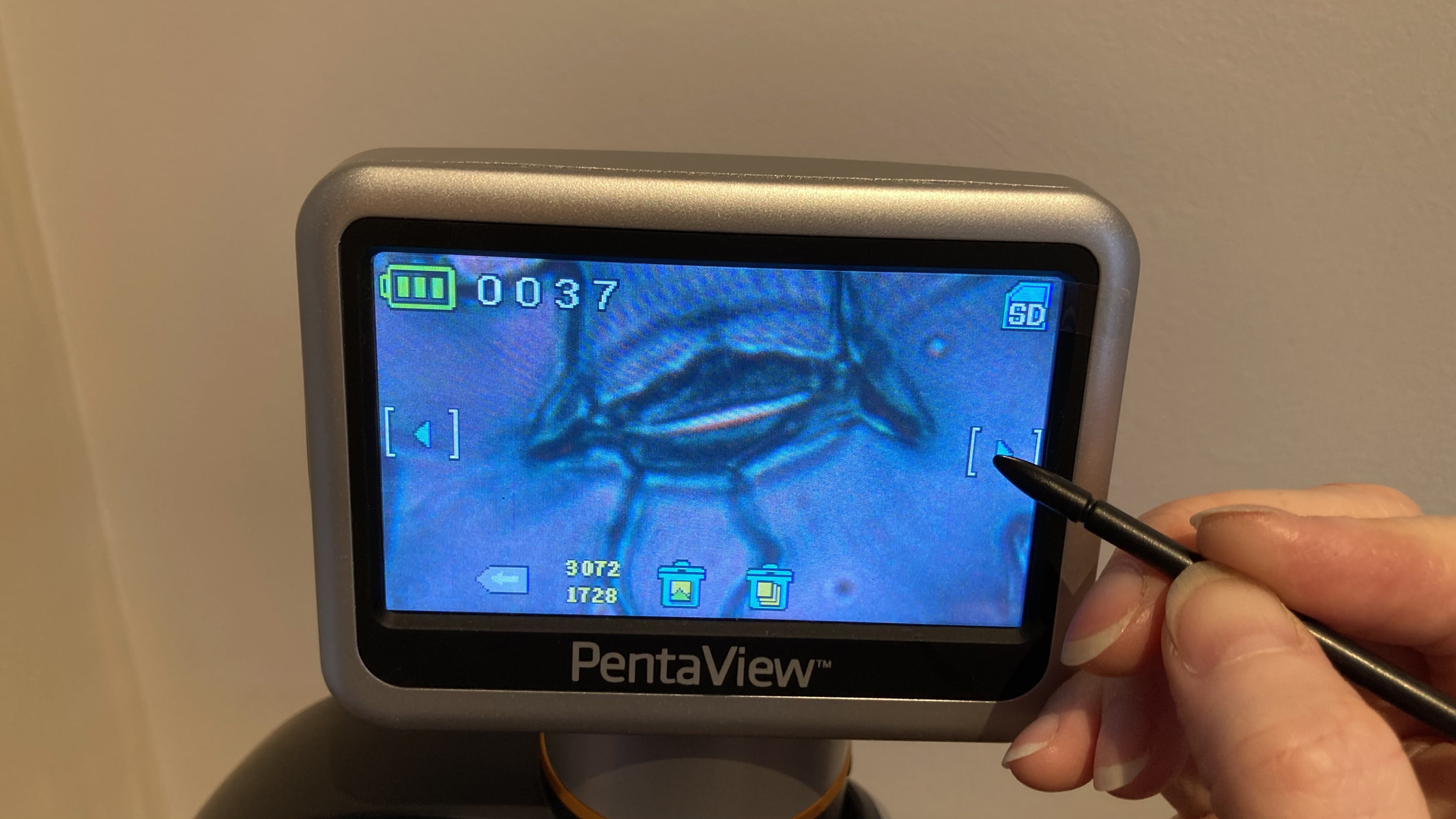 Celestron PentaView LCD Digital Microscope