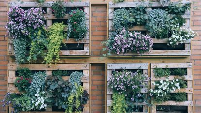 Self-watering vertical gardens