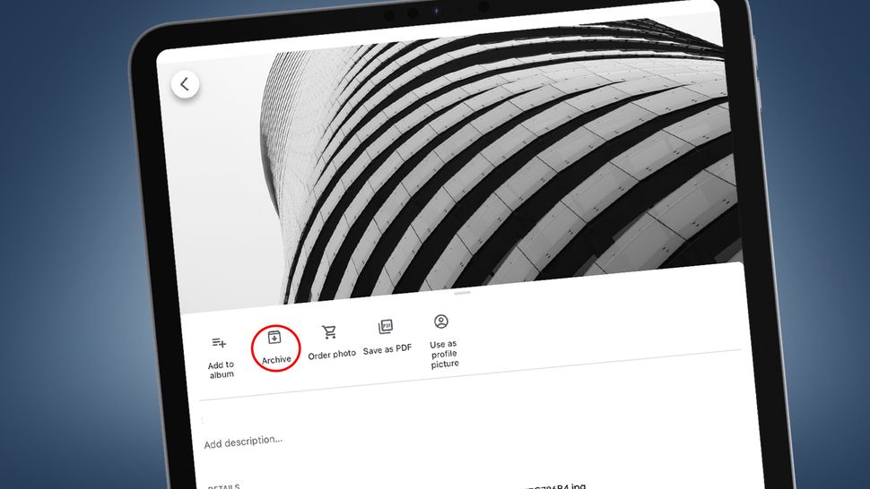 google-photos-archive-what-is-it-and-how-should-you-use-it-techradar