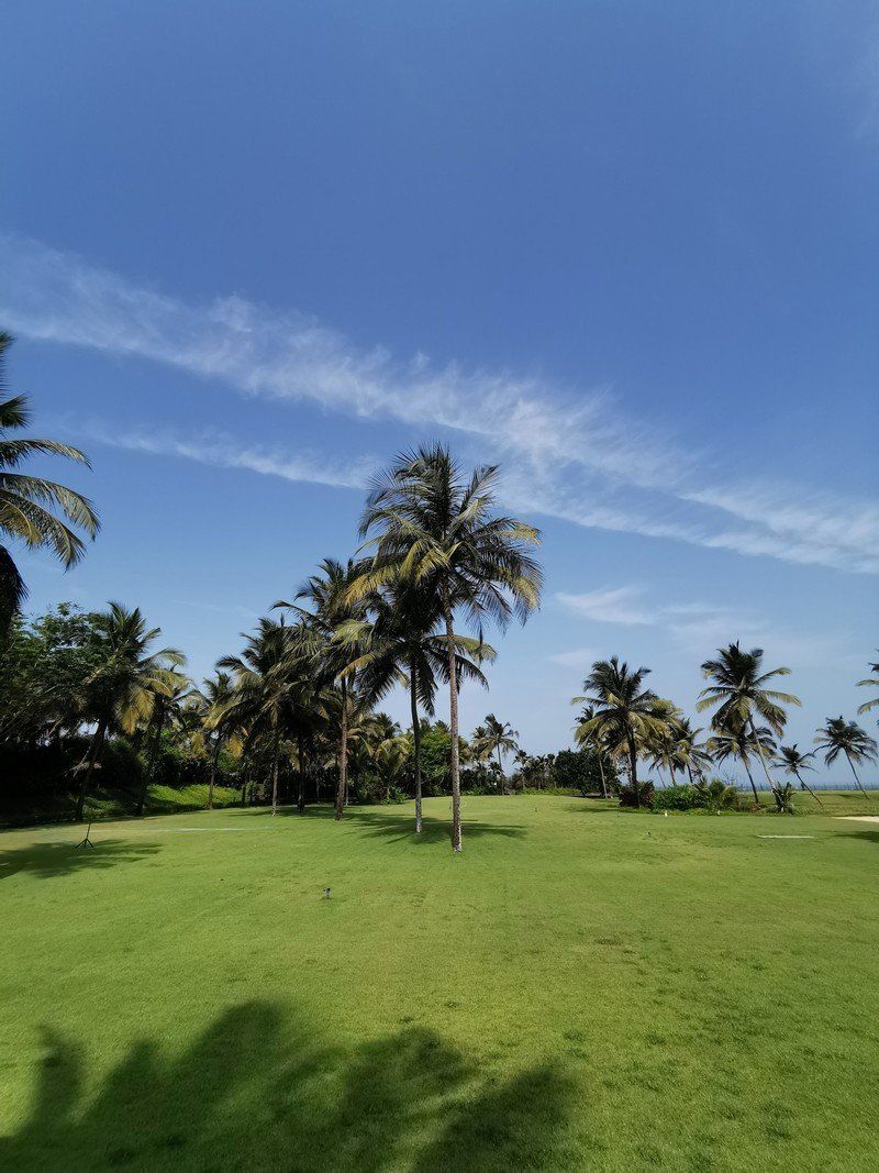 Huawei P30 Pro camera (wide-angle)
