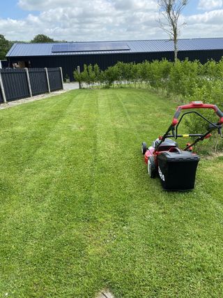 Freshly mown lawn using the Cobra MX51S80V lawn mower