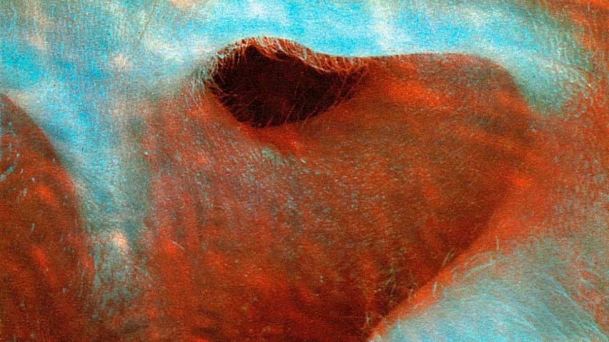 pink-floyd-meddle-album-review-louder