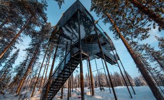The underside of The 7th Room tree house, by Snøhetta, Harads, Sweden