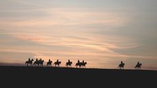 RMKMF7-alamy-2.jpg