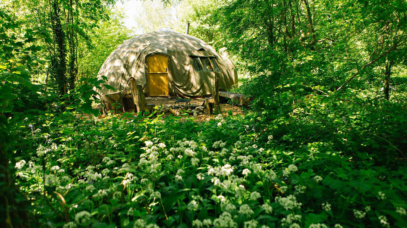 A tent in a glade at Penhein Glamping