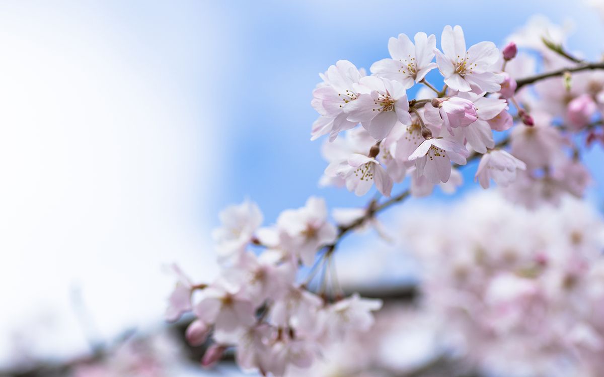 Today’s Spring Equinox Heralds Warmer Months — And A Supermoon 