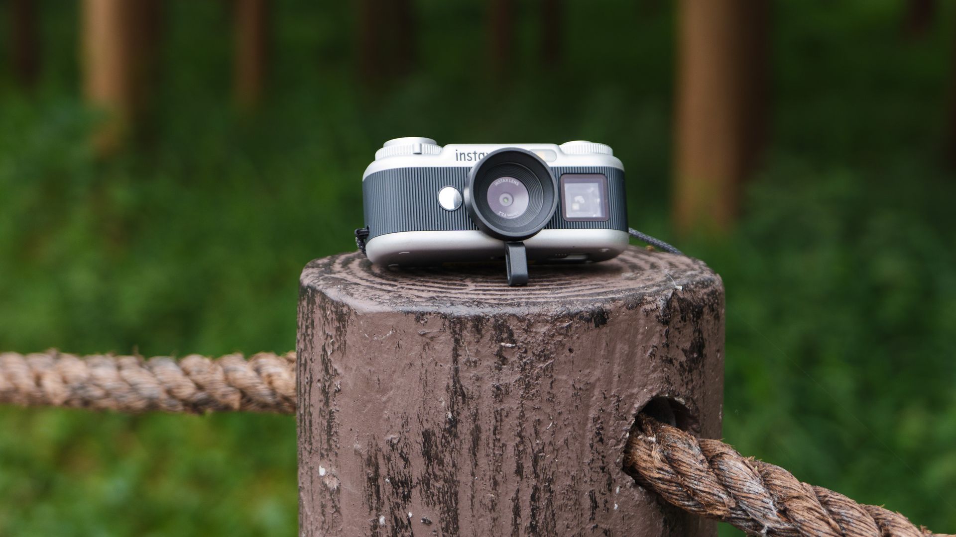 Fujifilm Instax Pal 2 en una rama de madera junto a un bosque
