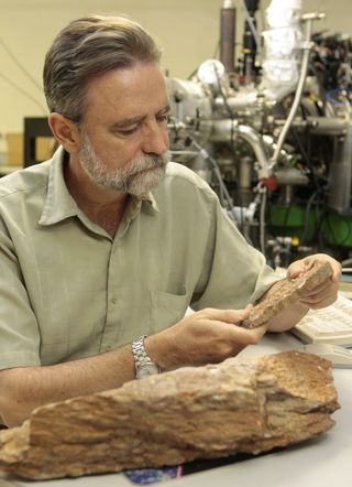 UCLA's Mark Harrison examines a specimen in the lab.