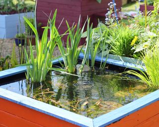 small raised garden pond built from pallets