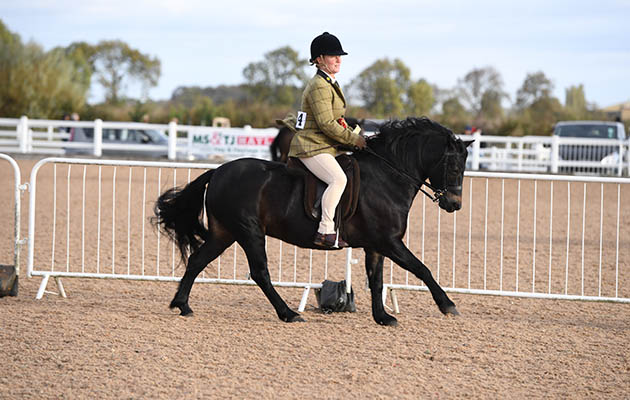 Heritage Show 13 10 2018
