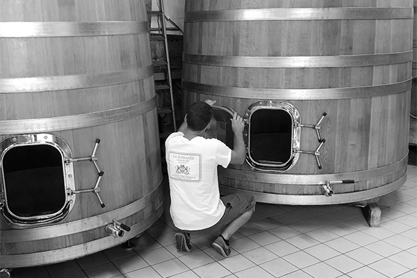 Domaine du Comte Liger-Belair: Producer profile & 10 wines rated