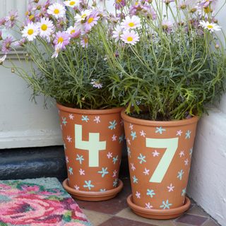 brown pots with plant and flower