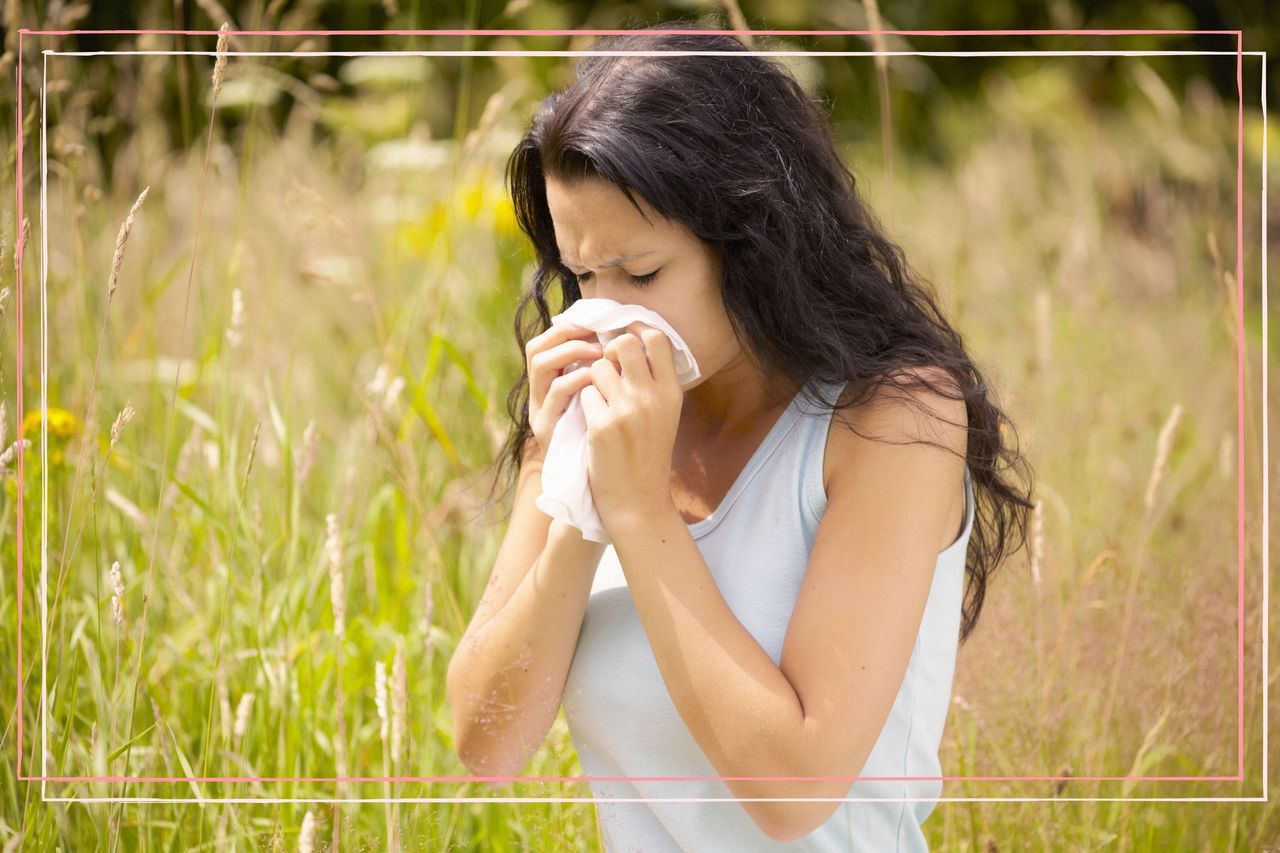 Why is hay fever so bad this year as illustrated by a woman blowing her nose in a field