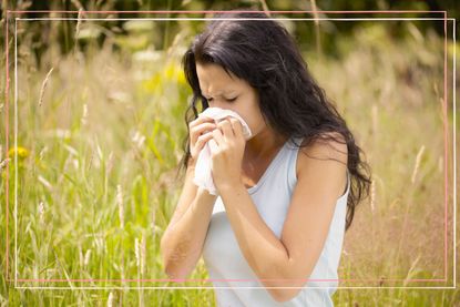 Why is hay fever so bad this year as illustrated by a woman blowing her nose in a field
