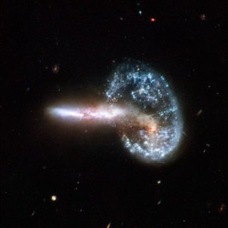 NASA, ESA, the Hubble Heritage (STScI/AURA)-ESA/Hubble Collaboration, and A. Evans (University of Virginia, Charlottesville/NRAO/Stony Brook University)