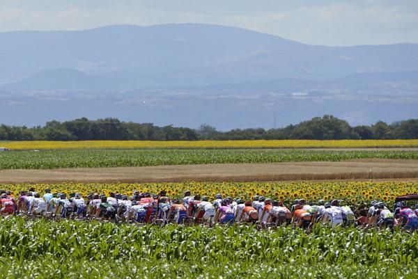 The Tour de France peloton