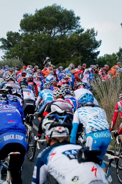 The peloton near the top of the third mountain of the day, just outside Banyalbufar.