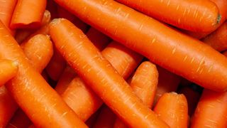 a close-up of carrots