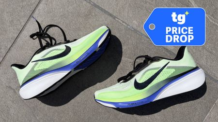 Nike Pegasus 42 running shoes