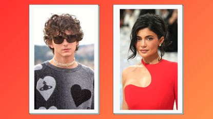 Are Kylie Jenner and Timothée Chalamet vacationing together?