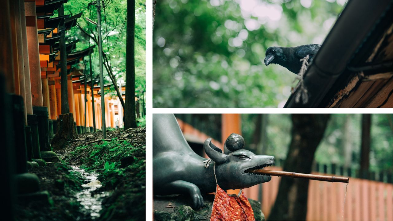 Viltrox 85mm f/1.8 sample images