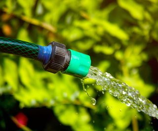 Water pouring out of a garden hose