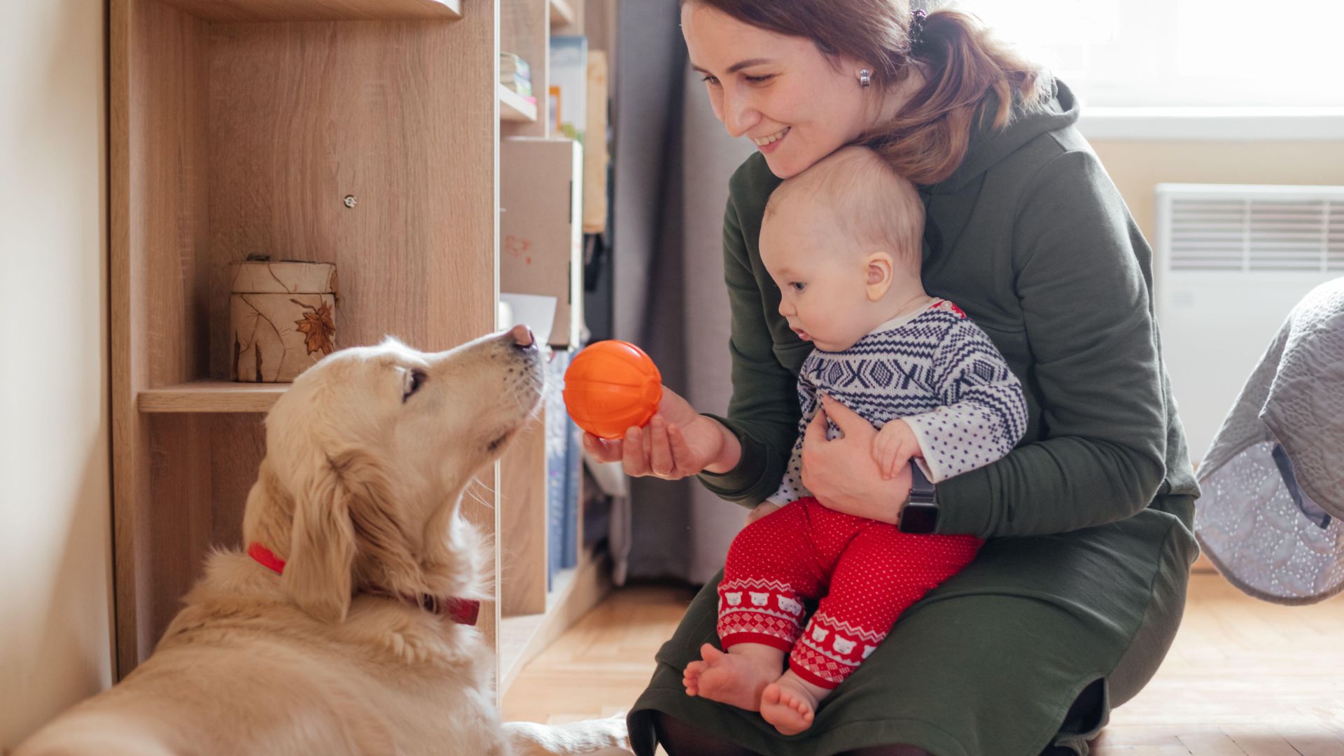 Woman and baby giving ball to a dog