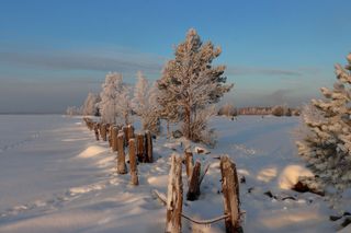 GuruShots - Winter Wonders